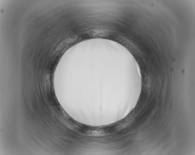 X0000086110506200704202309