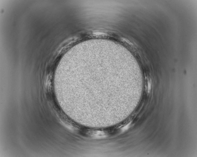 X0000086110507200704202309