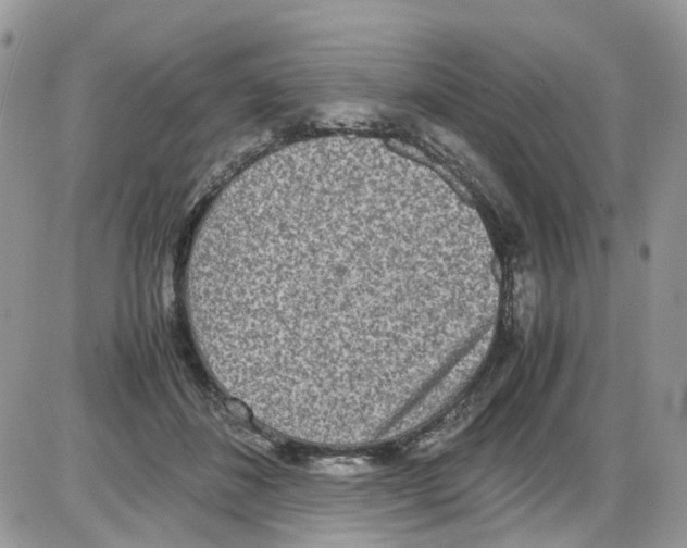 X0000086110508200704202309