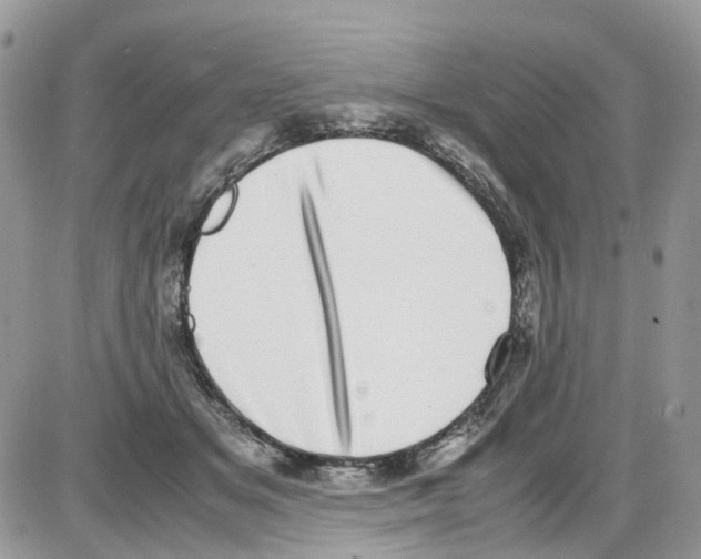 X0000086110509200704202309