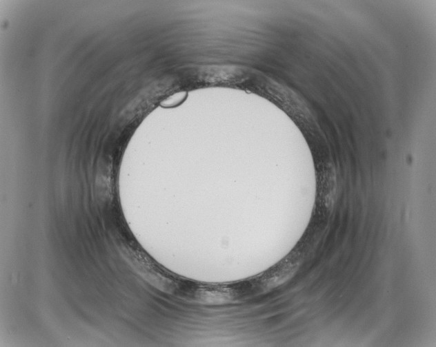 X0000086110510200704202309