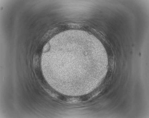 X0000086110511200704202309