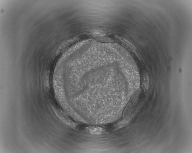 X0000086110512200704202309