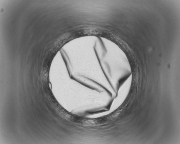 X0000086110513200704202309