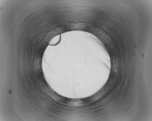 X0000086110514200704202309