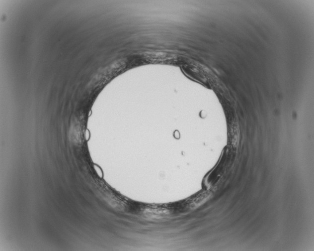 X0000086110515200704202309