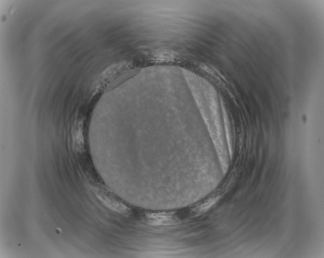 X0000086110516200704202309