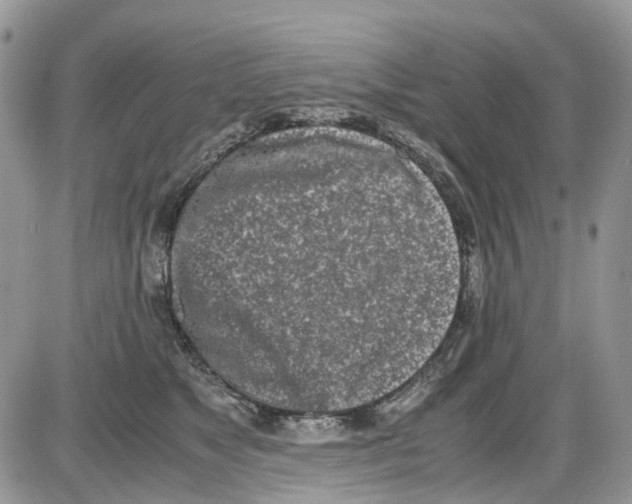 X0000086110517200704202309