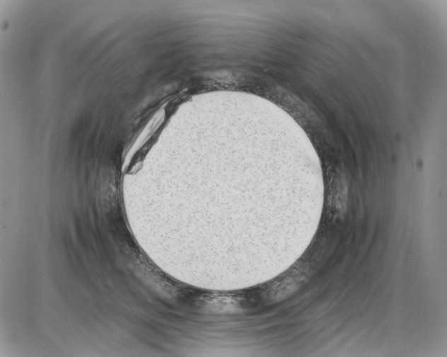 X0000086110518200704202309