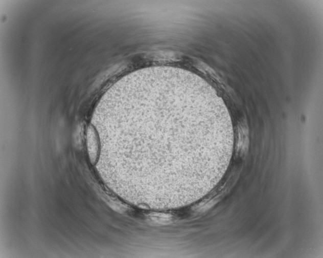 X0000086110519200704202309