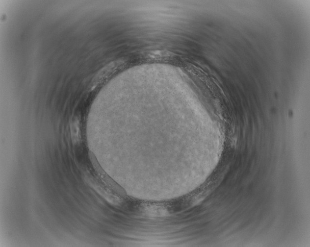 X0000086110520200704202309