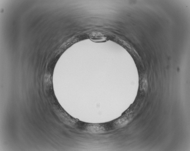 X0000086110521200704202309