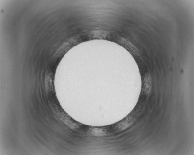 X0000086110522200704202309