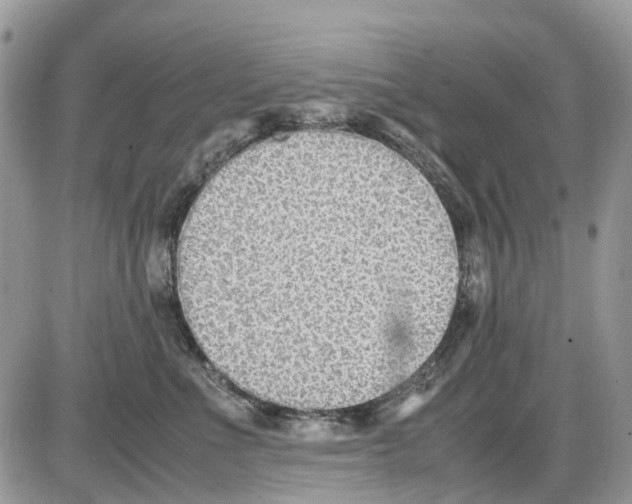 X0000086110523200704202309