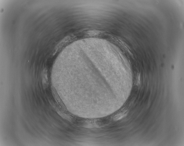 X0000086110524200704202309