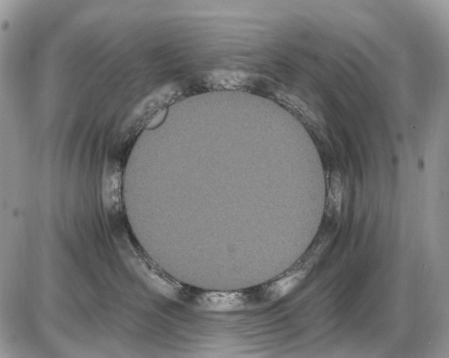 X0000086110526200704202309