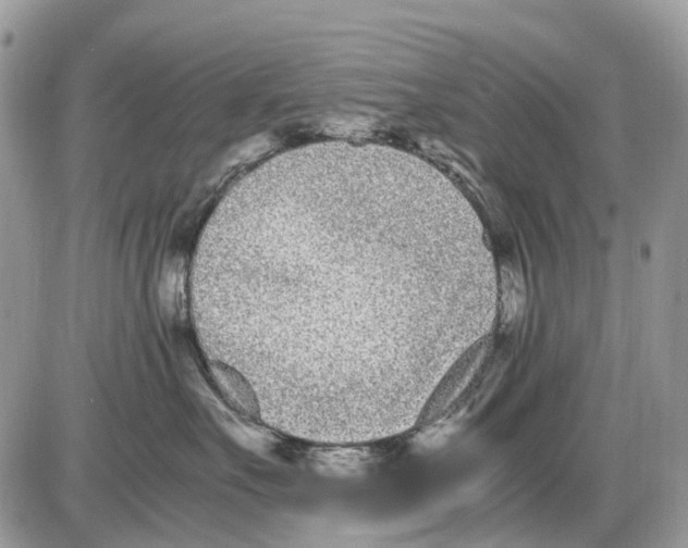 X0000086110527200704202309