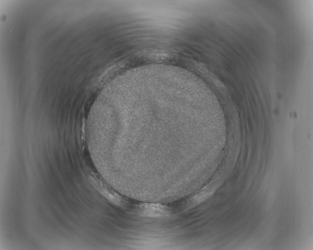 X0000086110528200704202309