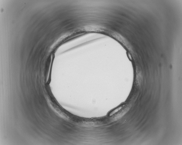 X0000086110530200704202308