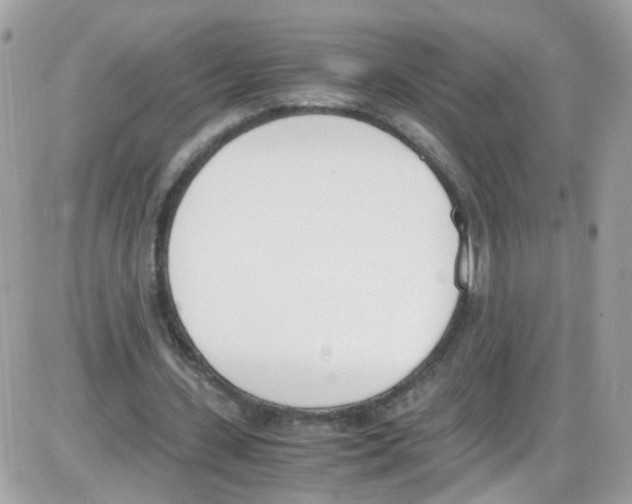 X0000086110531200704202308