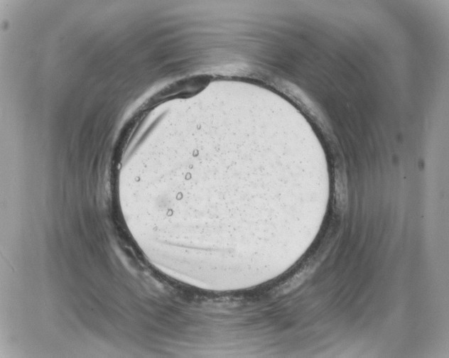 X0000086110532200704202308