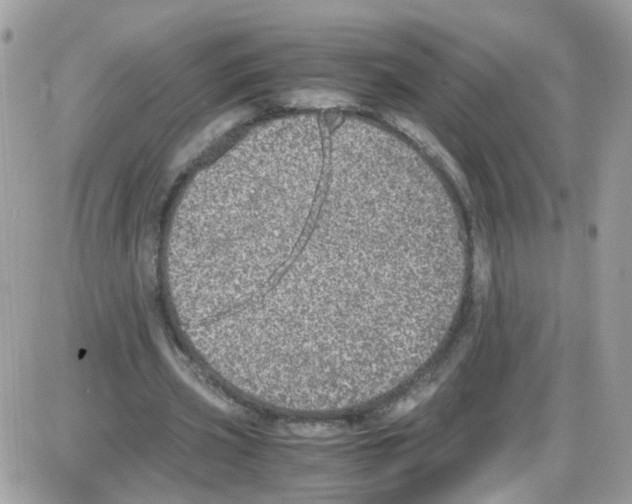 X0000086110533200704202308