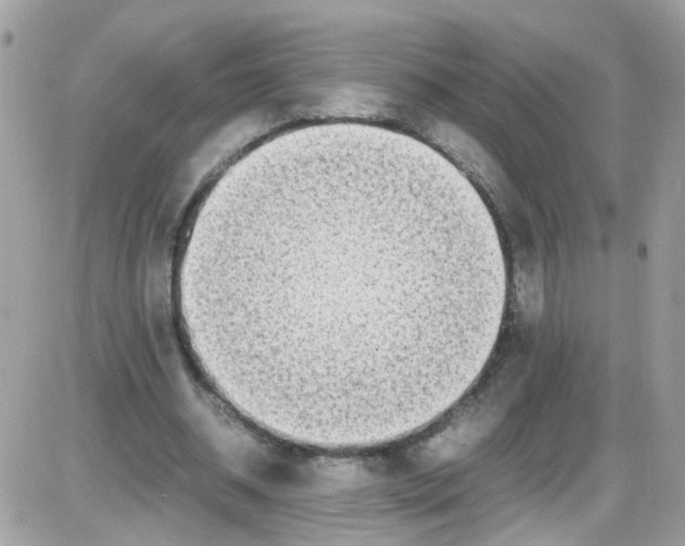 X0000086110534200704202308