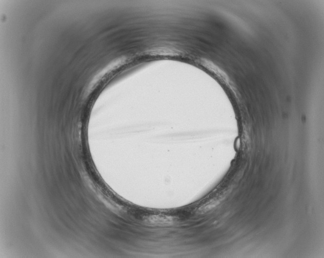 X0000086110535200704202308