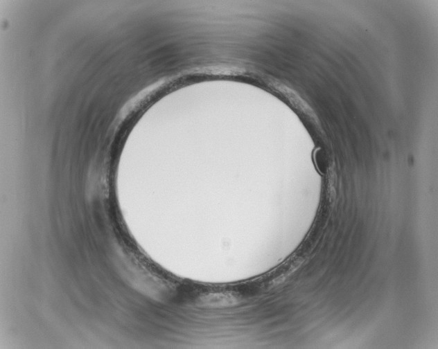 X0000086110536200704202308