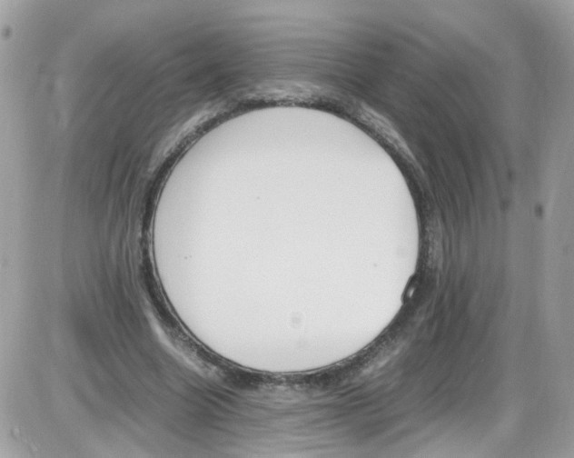 X0000086110538200704202308