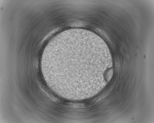 X0000086110539200704202308