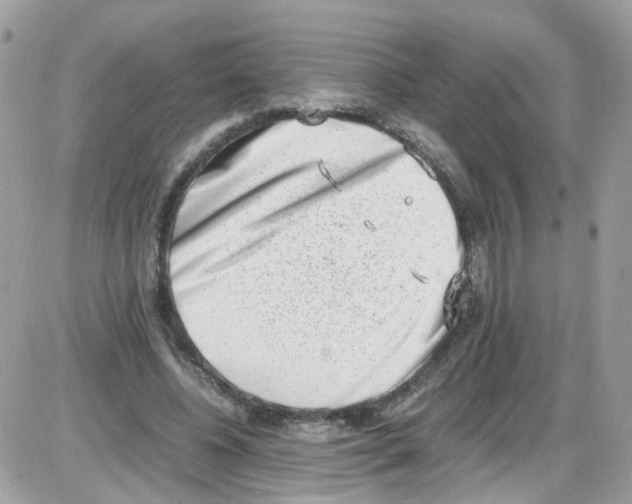 X0000086110540200704202308