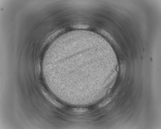 X0000086110541200704202308