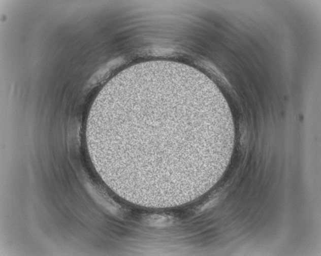 X0000086110542200704202308