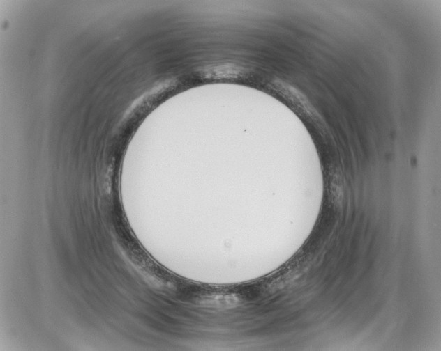 X0000086110543200704202308