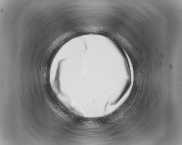 X0000086110544200704202308