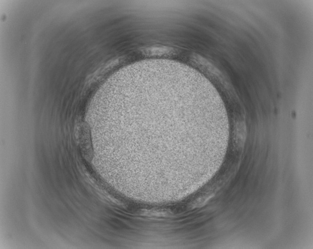 X0000086110545200704202308