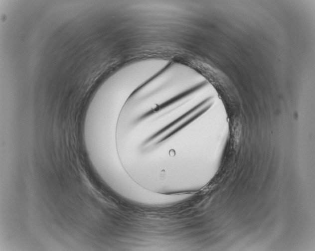 X0000086110546200704202308