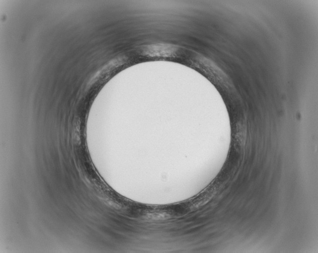 X0000086110547200704202308