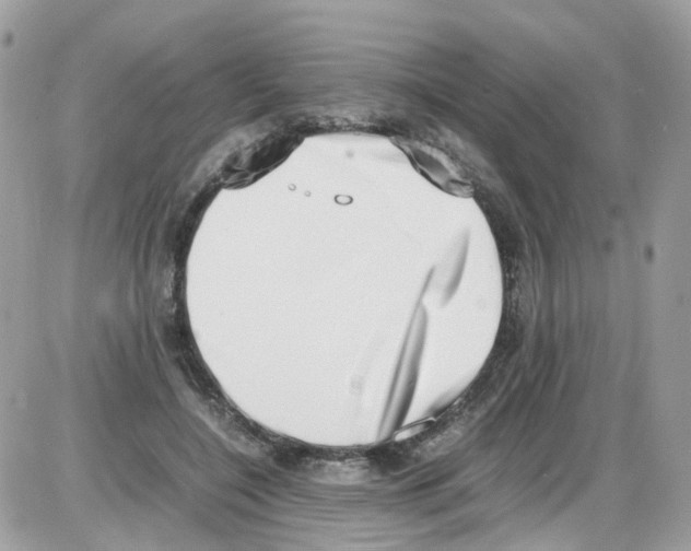 X0000086110548200704202308