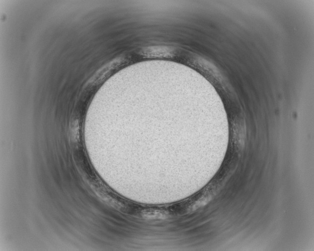 X0000086110549200704202308