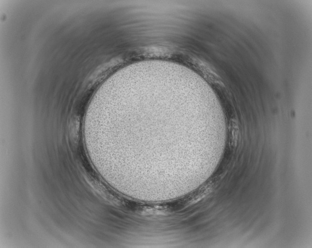 X0000086110550200704202308