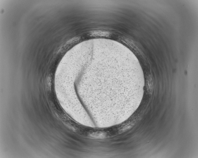 X0000086110551200704202308