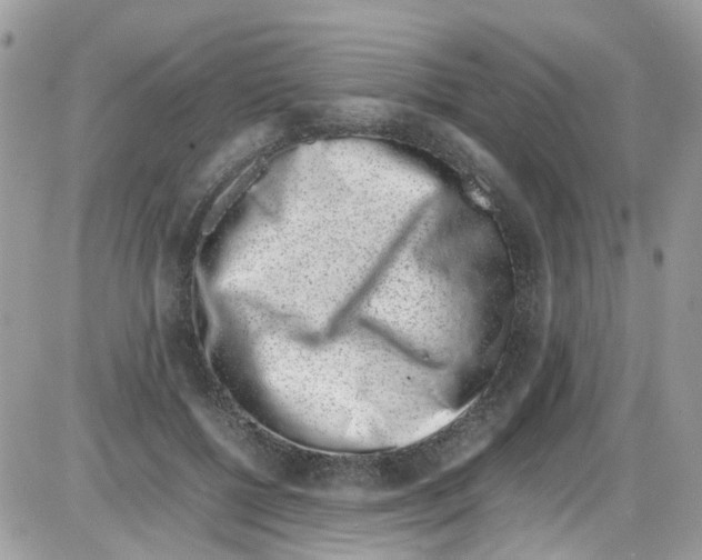 X0000086110552200704202308