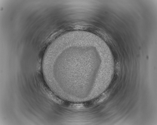 X0000086110554200704202308