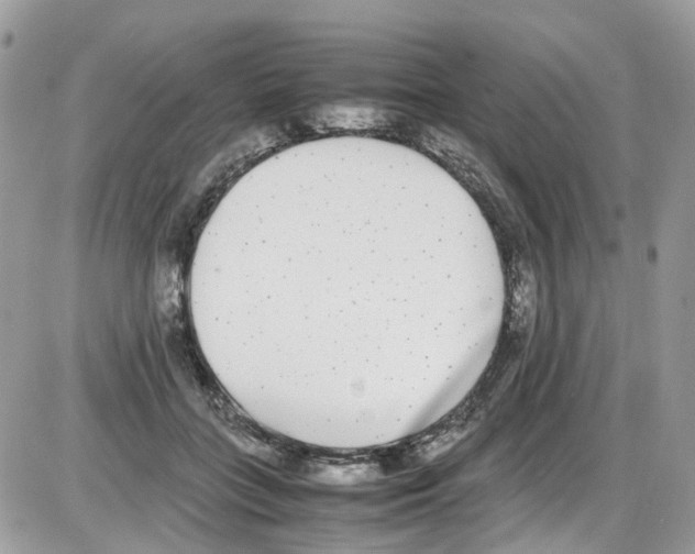 X0000086110555200704202308