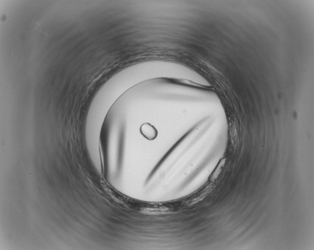 X0000086110556200704202308