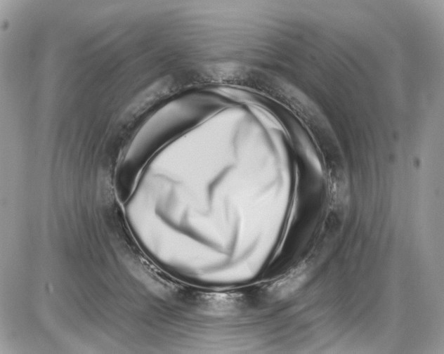 X0000086110558200704202308