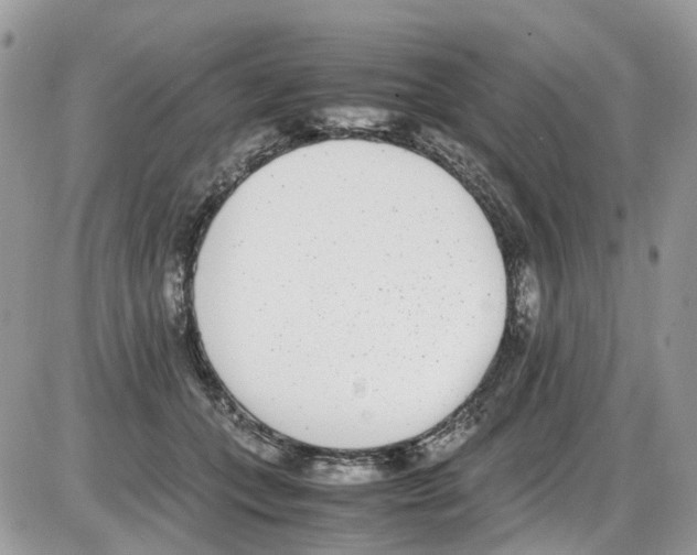 X0000086110559200704202308