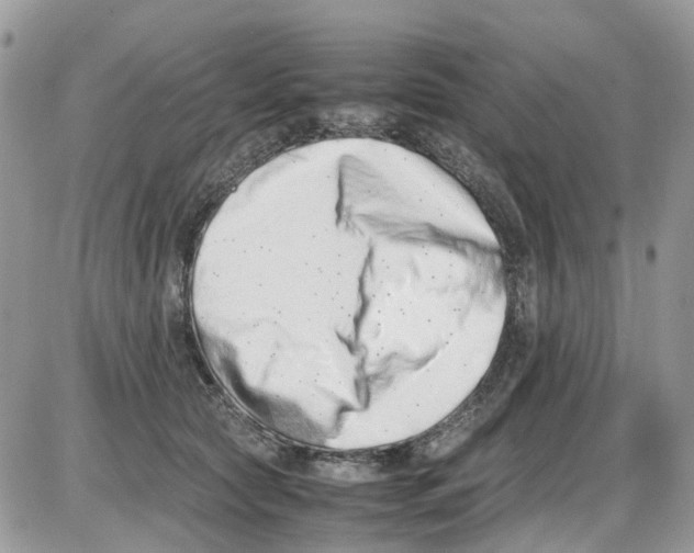 X0000086110561200704202308